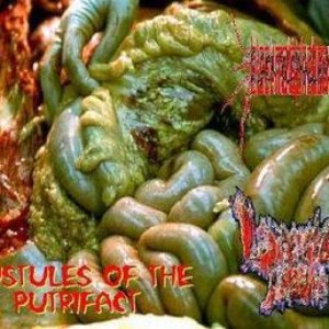 Image for 'Pustules of the Putrifact'