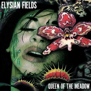 Zdjęcia dla 'Queen Of The Meadow'