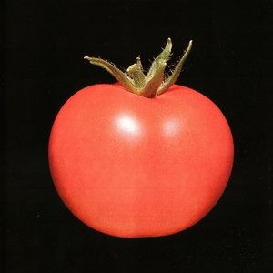 Image for 'Chronophage'