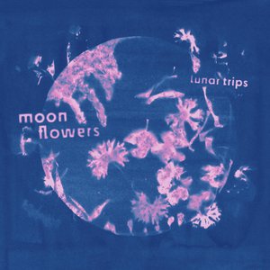 Bild für 'moon flowers'