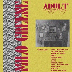 “Adult Contemporary”的封面