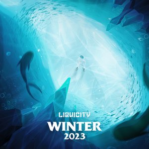 Image for 'Liquicity Winter 2023'