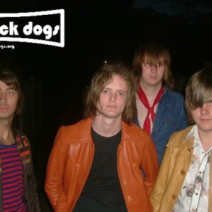 Image for 'The Black Dogs'