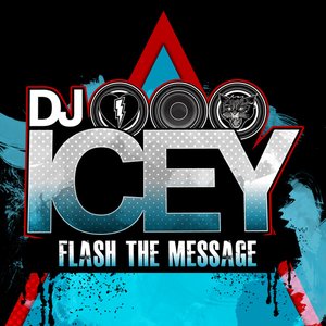 Image for 'Flash the Message'