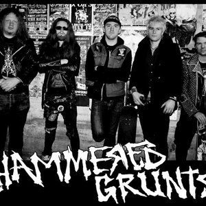 Image for 'Hammered Grunts'