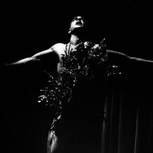 Image for 'Étant Donnés'
