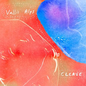 “Cleave”的封面