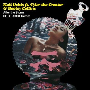 Image for 'After The Storm (Pete Rock Remix)'