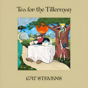 “Tea For The Tillerman (Super Deluxe)”的封面