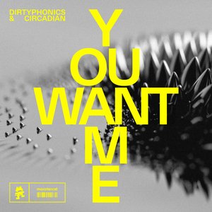 Image for 'You Want Me'