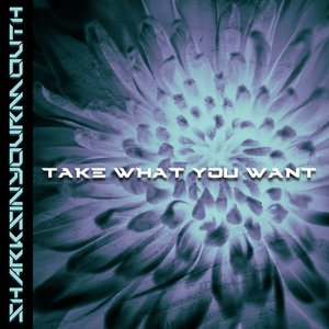 'Take What You Want'の画像