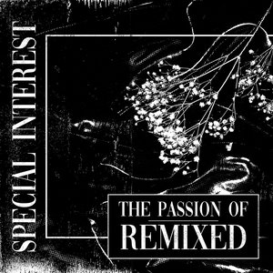 “The Passion Of: Remixed”的封面