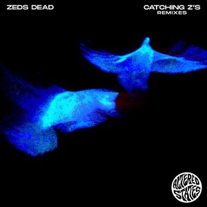 Image for 'Catching Z's (Remixes)'