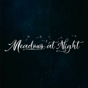 Image for 'Meadows at Night'