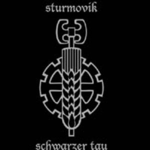 Image for 'Sturmovik'