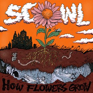 “How Flowers Grow”的封面
