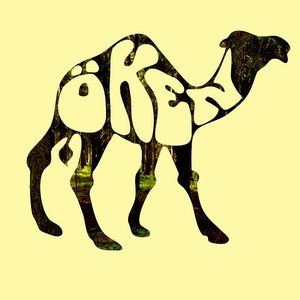 Image for 'Öken'