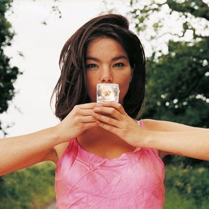Immagine per 'Björk'