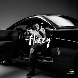 “Flizzy (Premium Edition)”的封面