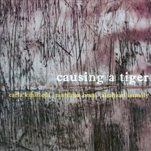 Image for 'Causing A Tiger'