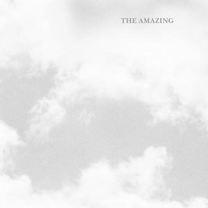 Image for 'The Amazing'