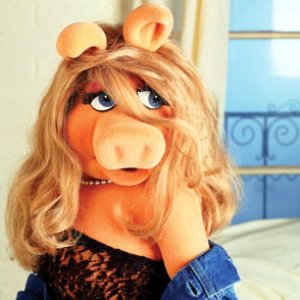 Image for 'Miss Piggy'