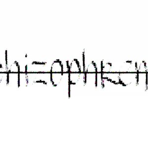 Image for 'schizophrenic'