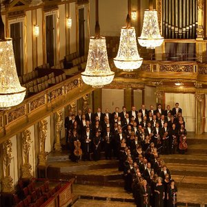 'Tonkünstler-Orchester Niederösterreich' için resim