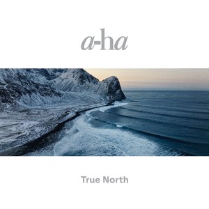 Изображение для 'True North'