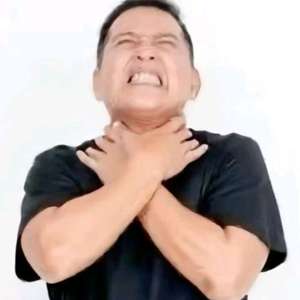 beatrevisol
