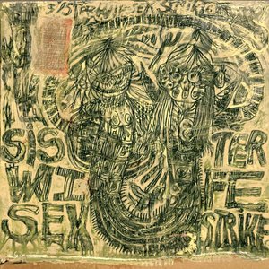 “Sister Wife Sex Strike”的封面