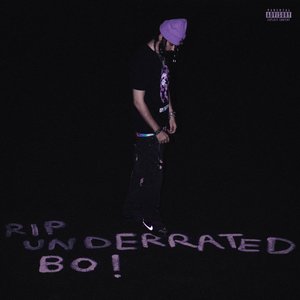 Image for 'RIP Underratedbo!'