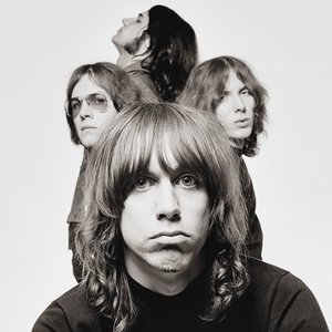 Immagine per 'The Stooges'