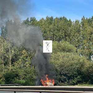 Bild för 'Dark'