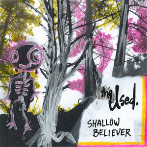 Image for 'Shallow Believer'