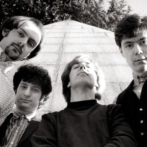 Immagine per 'The Sneetches'