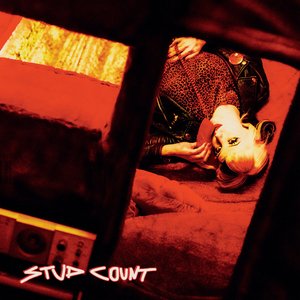 'Stud Count'の画像