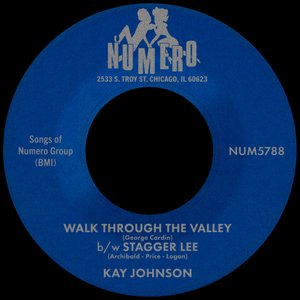 Immagine per 'Walk Through The Valley b/w Stagger Lee'