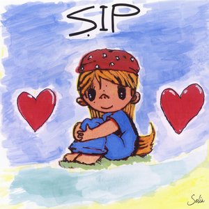 “ŞIP”的封面