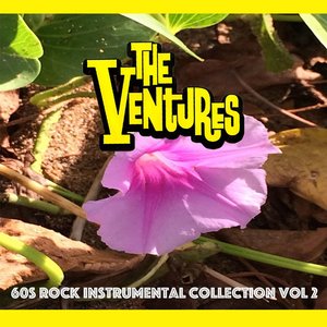 “60s Rock Instrumental Collection, Vol. 2”的封面