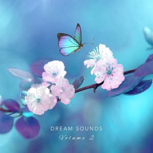 Imagem de 'Dream Sounds, Vol. 2'