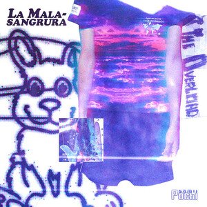 Image for 'la malasangrura'