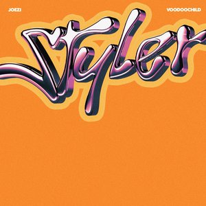 “Styler”的封面