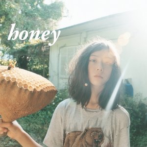 “honey”的封面