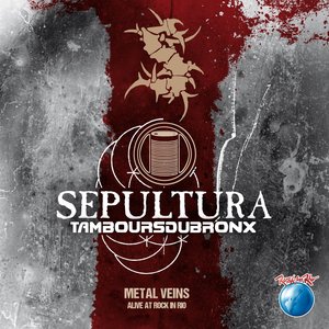 Изображение для 'Metal Veins - Alive At Rock In Rio'