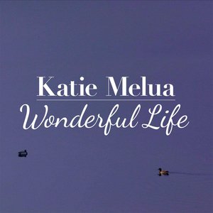 Immagine per 'Wonderful Life - Single'