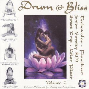 “Drum & Bliss v.2”的封面