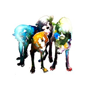 “Dogleg”的封面