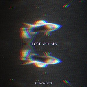 Image for 'Lost Animals'