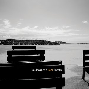 Bild för 'Soulscapes & Jazz Breaks'